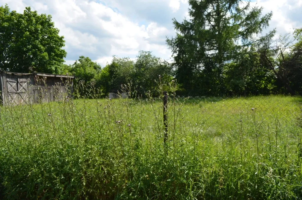 Lot where Kwiatek Soda Factory Stood