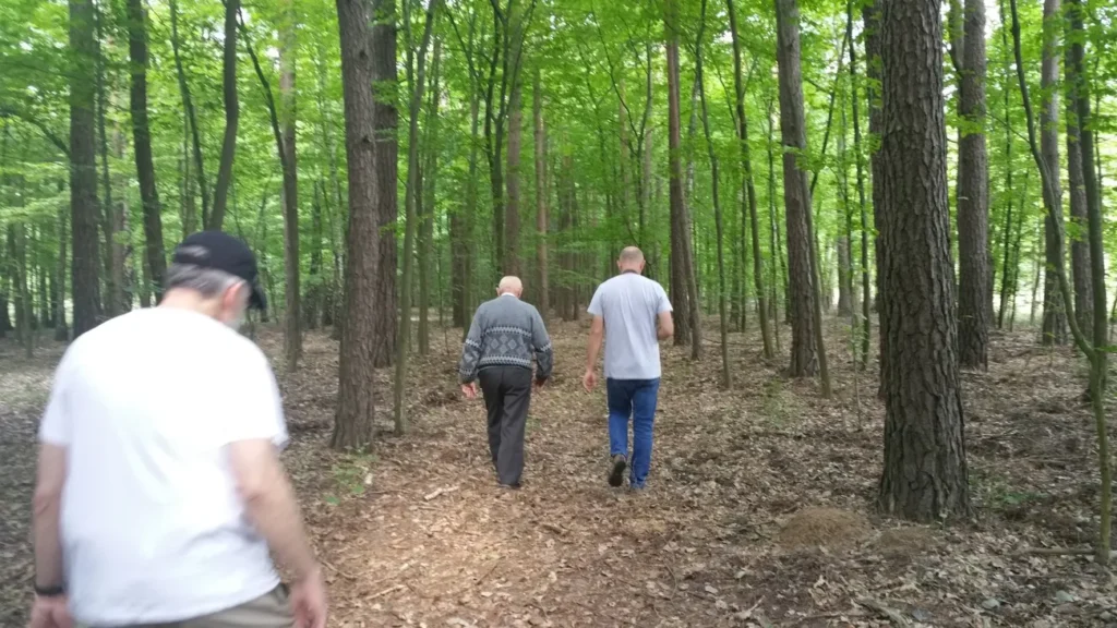 Eugenuisz Stys, Grzegorz Maleszewski, and Shlomo walking through the forest to the pit.